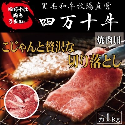 四万十牛 こじゃんと贅沢な切り落とし 焼肉用(黒毛和牛) 約1kg