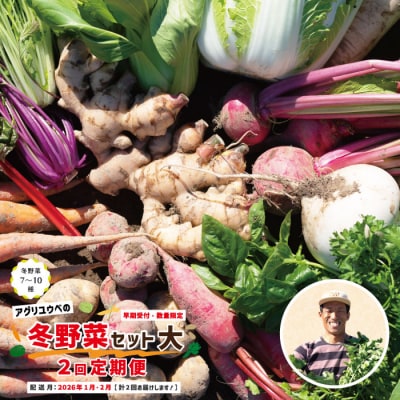 【2回定期便・早期受付・数量限定】アグリユウベの冬野菜セット(大)【配送月:2026年1月・2月】