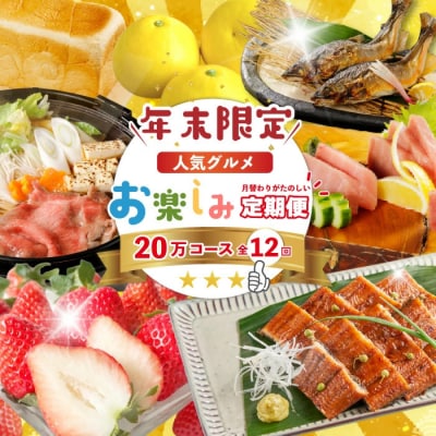 【年末限定12回定期便】四万十の人気グルメお楽しみ しまんとふるさと定期便20万円コース25-616