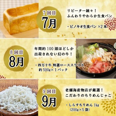 【年末限定・12回定期便】四万十のグルメお楽しみ しまんとふるさと定期便20万円コース 24-616