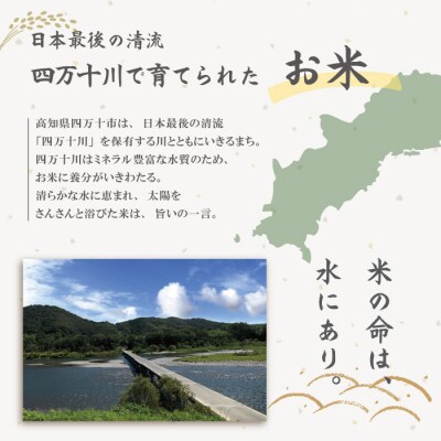 【令和7年産・5回定期便】しまんと農法米(コシヒカリ)10kg(5kg×2袋)×5回(計50kg
