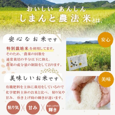 【令和7年産・5回定期便】しまんと農法米(コシヒカリ)10kg(5kg×2袋)×5回(計50kg