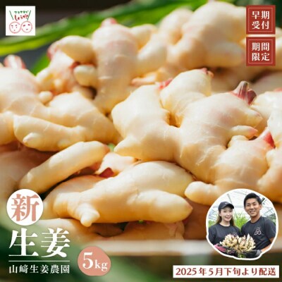 【早期受付・期間限定】みずみずしさがたまらない!新生姜約5kg【2025年5月下旬～9月上旬配送】