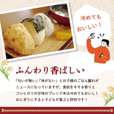 【令和7年産】香り米入りブレンド米「四万十のかおり」5kg R8