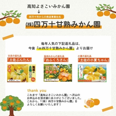 【早期受付・数量限定】甘味が強く酸味が少なめ【土佐の小夏ちゃん3kg家庭用】配送2026年5月下旬～
