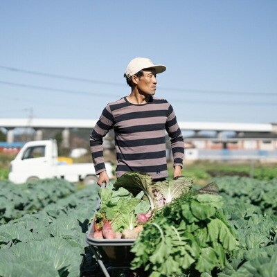 生姜好きさんにオススメ!濃厚・しょうがシロップ6本セット【あまくち】
