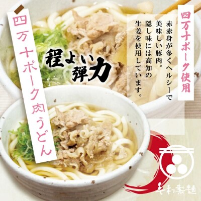 四万十ポークで作ったジューシーな麦屋の肉うどん(特製つゆ付き)　5食入り 26-187