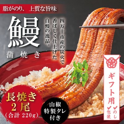 【ギフト用(包装)】＜四万十食品＞うなぎ蒲焼 長焼2尾/BC 26