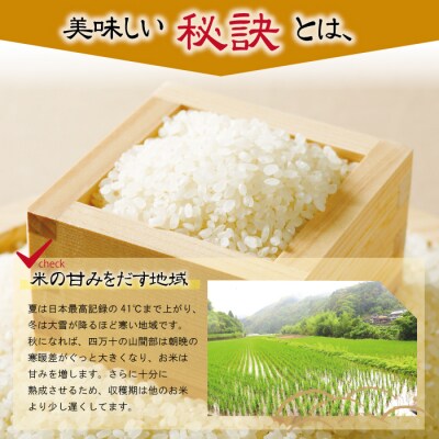 【令和6年産・5回定期便】山間米10kg(5kg×2袋)×5回(ヒノヒカリ)