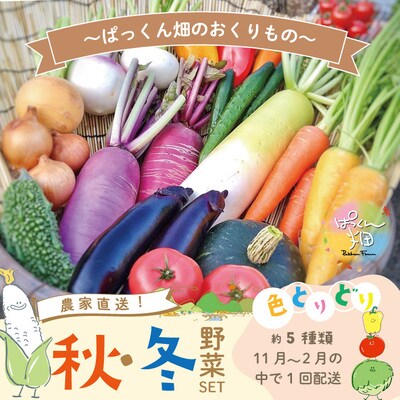 【早期受付】とれたて新鮮ぱっくん畑の秋・冬野菜セット約5種類【R5年11月～R6年2月の間に1回配送