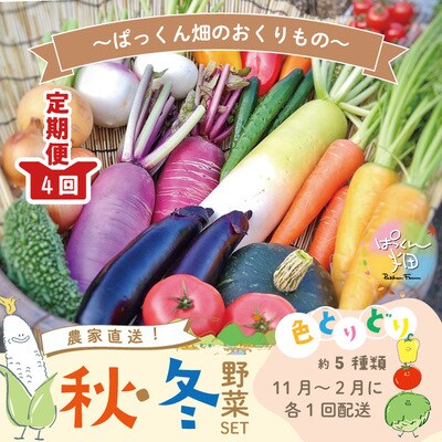 【早期受付・4回定期便】とれたて新鮮!ぱっくん畑～農家直送!秋・冬野菜セット(約5種類)24-055