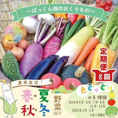 【早期受付 8回定期】農家直送ぱっくん畑野菜(約5種)R6年5～8月、11月～R7年2月に月1回発送