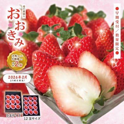 【早期受付・数量限定】苺の貴婦人おおきみ(化粧箱)2箱【2026年2月より順次発送予定】