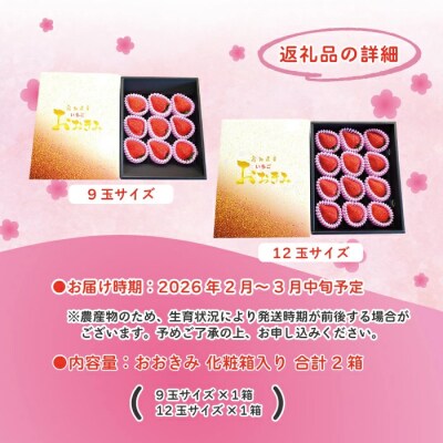【早期受付・数量限定】苺の貴婦人おおきみ(化粧箱)2箱【2026年2月より順次発送予定】