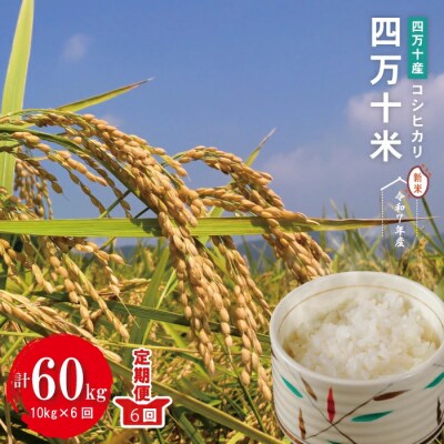 【令和7年産・6回定期】四万十産 四万十米(コシヒカリ)10(5kg×2袋)×6回 (計60kg