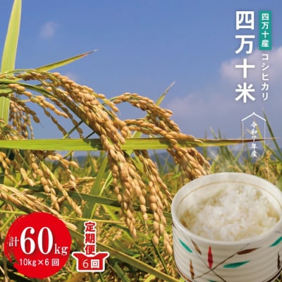 【令和7年産・6回定期】四万十産 四万十米　コシヒカリ(5kg×2袋)×6回 (計60kg )R7