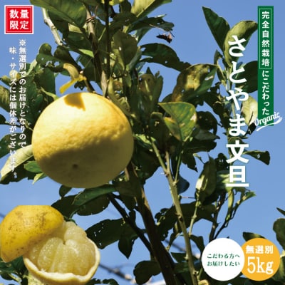 早期受付 数量限定 栽培期間中農薬不使用 さとやま文旦5kg(無選別)2026年2月下旬～3月下旬配