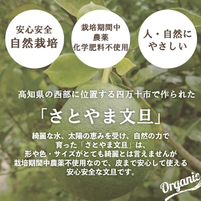 早期受付 数量限定 栽培期間中農薬不使用 さとやま文旦5kg(無選別)2026年2月下旬～3月下旬配