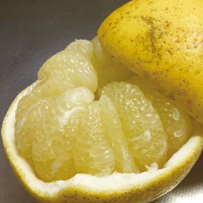 早期受付 数量限定 栽培期間中農薬不使用 さとやま文旦5kg(無選別)2026年2月下旬～3月下旬配