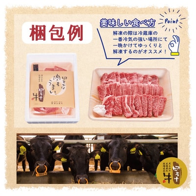 【年内配送】四万十牛こじゃんと贅沢な切り落とし(すき焼き用 400g) ・25-529N