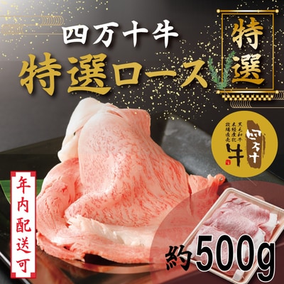 【年内配送】四万十牛特選ローススライス(すき焼き・しゃぶしゃぶ用)約500g・25-974N