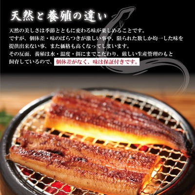 【年内配送】<四万十食品>うなぎ蒲焼 ハーフ4袋/BC　25-359N