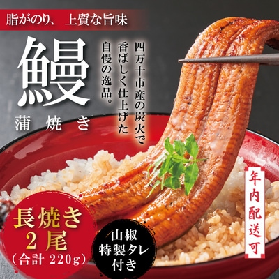 【年内配送】<四万十食品>うなぎ蒲焼 長焼2尾/BC　25-366N