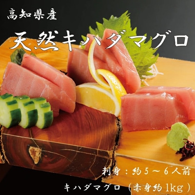 お刺身や漬け丼に!　天然まぐろ　キハダマグロ(赤身)約1kg　刺身:5～6人前 R5-1000