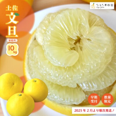 特選　土佐文旦　10k 09 特選 土佐文旦 10k 09 文旦加工用9～10kg | 土佐文旦 | おおぐし
