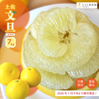 【早期・数量限定】旬の味覚 甘味と酸味がまろやかに溶け合う四万十市産・土佐文旦7kg(家庭用) 25