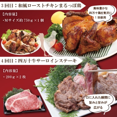 【6回定期便】牛・豚・鶏が月替わりで届く!肉づくし定期便 R6