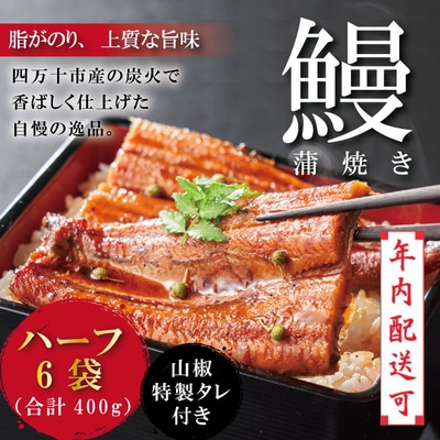 【年内配送】<四万十食品>うなぎ蒲焼 ハーフ6袋/CD　25-361N