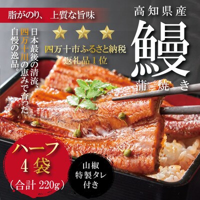 高知県産うなぎ蒲焼 ハーフ4袋/BC | ふるさと納税のお礼品