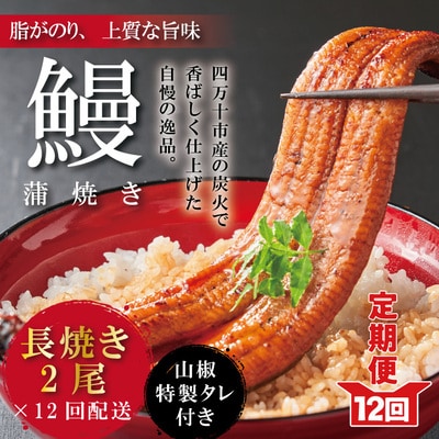 【12回定期便】お楽しみ企画 12ヵ月連続<四万十食品>うなぎ蒲焼 長焼2尾/BC.R6-1061