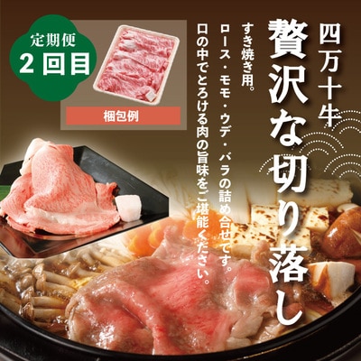 【4ヵ月連続定期便】四万十市人気魚介&お肉返礼品 R6