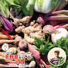 【2回定期便・早期受付・数量限定】アグリユウベの冬野菜セット(小)【配送月:2026年1月・2月】