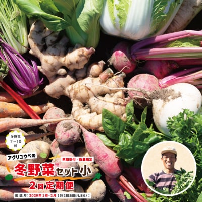【2回定期便・早期受付・数量限定】アグリユウベの冬野菜セット(小)【配送月:2026年1月・2月】