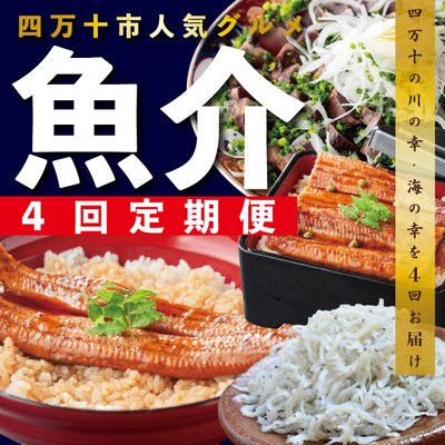 【4ヵ月連続定期便】四万十市人気魚介返礼品を集めた定期便 26