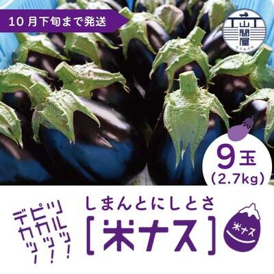 【期間限定】デカ!ピカ!ツル!しまんとにしとさ米ナス9玉(約2.7kg)【R5年10月下旬まで発送】