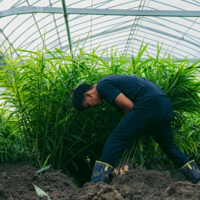【山﨑生姜農園】生姜農家が作った至高の生姜ジャム