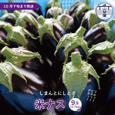 【期間限定】デカ!ピカ!ツル!しまんとにしとさ米ナス9玉(約2.7kg)【2025年5月中旬～10月