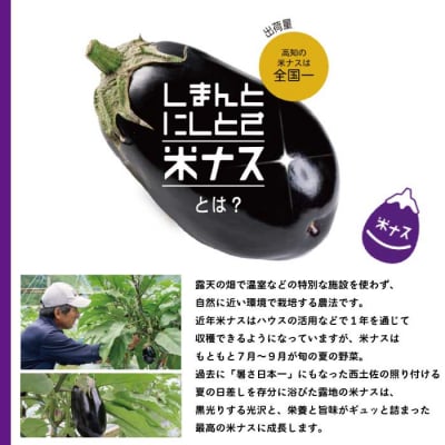 【期間限定】しまんとにしとさ米ナス9玉(約2.7kg)【R7年5月中旬～10月下旬発送】