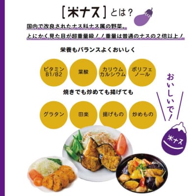 【期間限定】しまんとにしとさ米ナス9玉(約2.7kg)【R7年5月中旬～10月下旬発送】