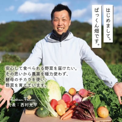 ぱっくん畑の秋・冬野菜セット約5種類【2026年11月～2027年2月の間に1回配送】