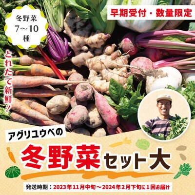 アグリユウベの冬野菜(大)【R5年11月中旬～R6年2月下旬に1回発送】R5-761