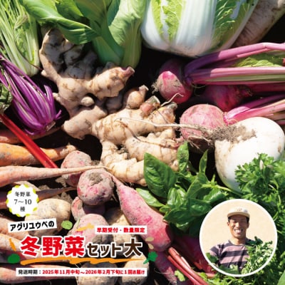【早期受付・数量限定】＼とれたて新鮮/農家直送!アグリユウベの冬野 菜セット(大)　25-761