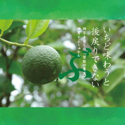 四万十市産のぶしゅかんを使った四万十ぶしゅかんアイスキャンデー(10本入り) 26-443