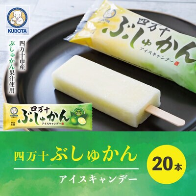 四万十市産のぶしゅかんを使った四万十ぶしゅかんアイスキャンデー(20本入り) 26-444