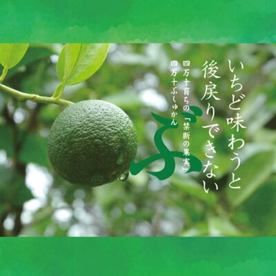 四万十市産のぶしゅかんを使った四万十ぶしゅかんアイスキャンデー(20本入り) 25-444