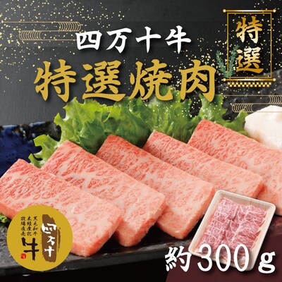 焼肉四万十牛特選(約300g) 26-976